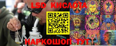 СК Кузнецк