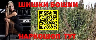 дживик Кудымкар