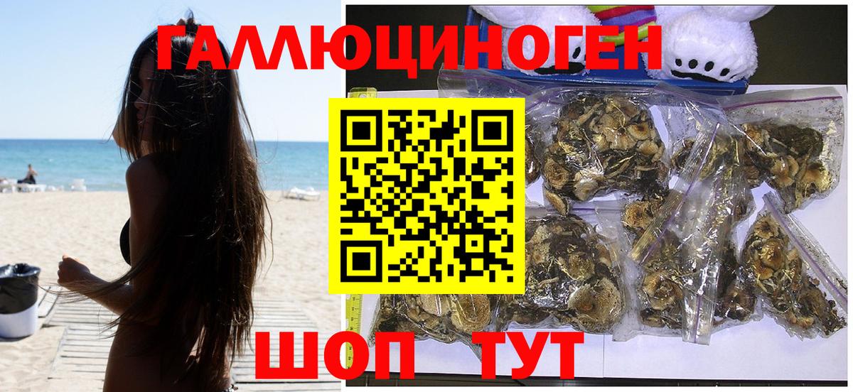 Псилоцибиновые грибы Psilocybine cubensis Владикавказ