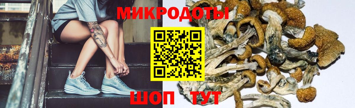 Владикавказ  где купить наркоту  Вход с VPN  Галлюциногенные грибы Psilocybine cubensis  Псилоцибиновые грибы Cubensis 
