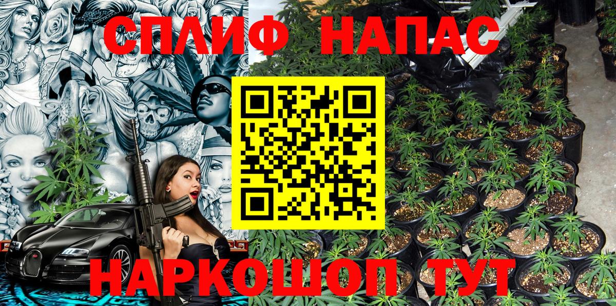 Каннабис Владикавказ